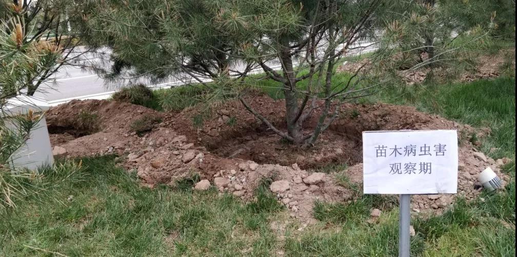 中国少妇A片BBBBBB洗澡