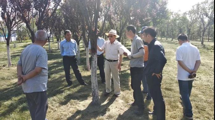 中国少妇A片BBBBBB洗澡