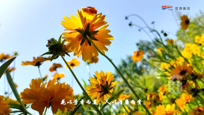 微信图片_20210531180758