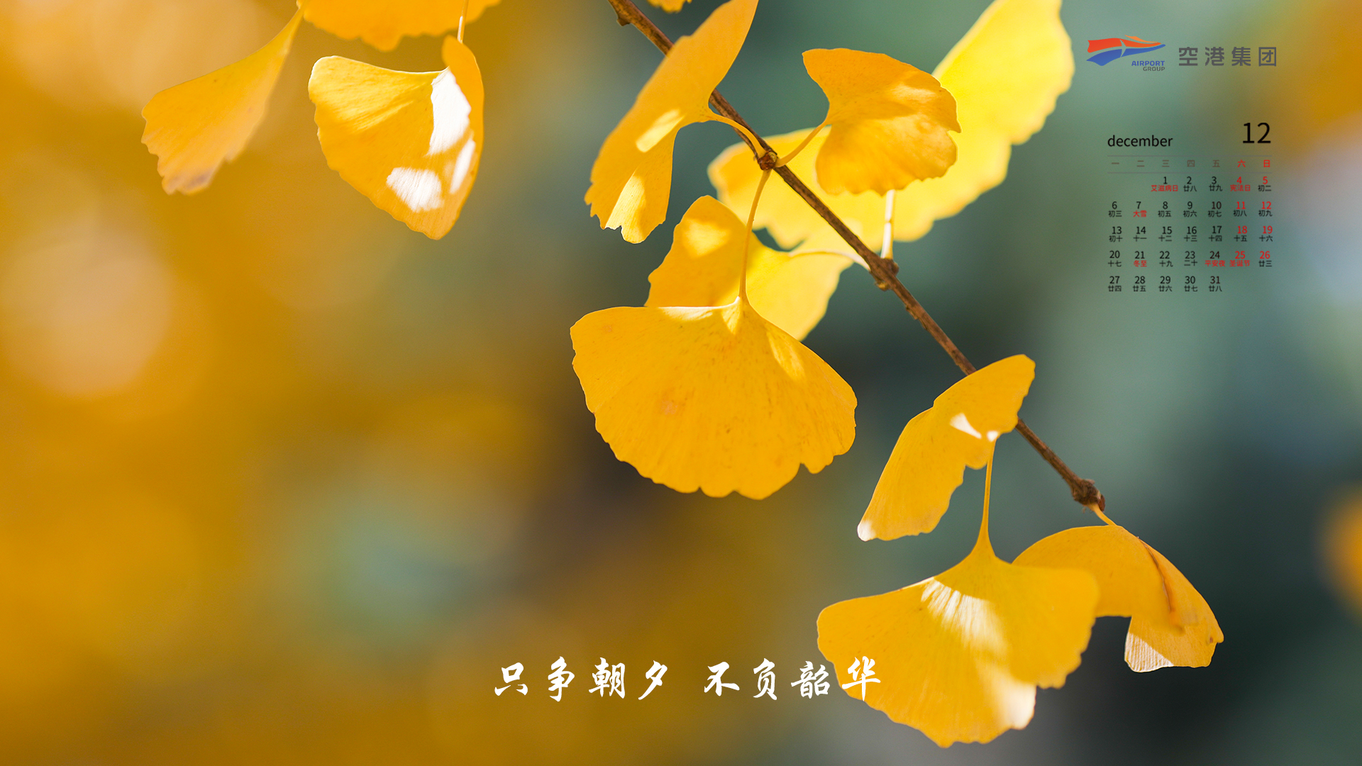 中国少妇A片BBBBBB洗澡