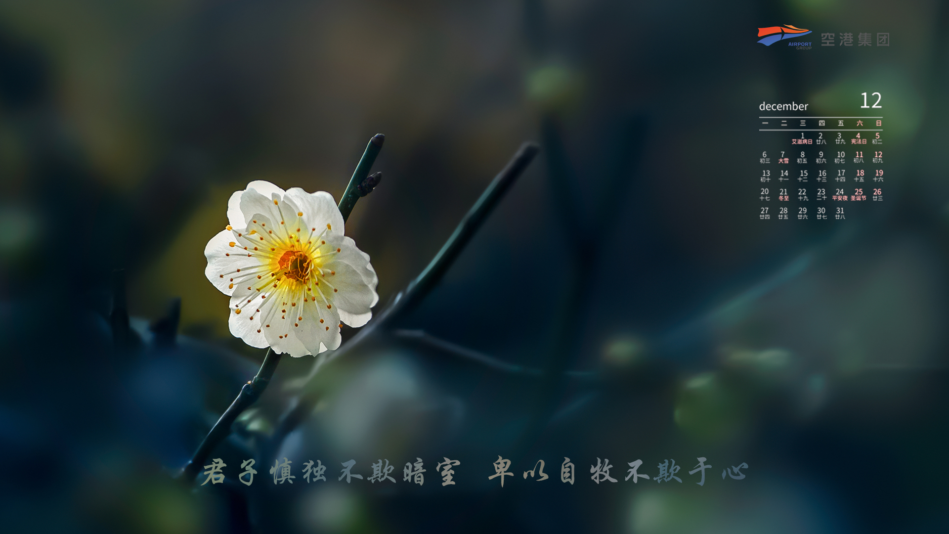 中国少妇A片BBBBBB洗澡