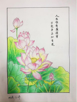 中国少妇A片BBBBBB洗澡