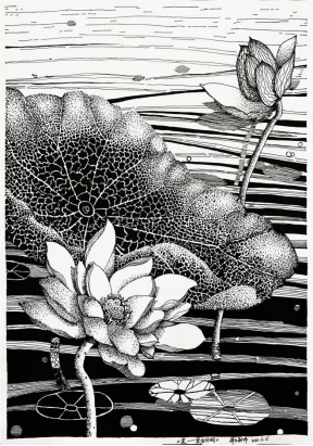 中国少妇A片BBBBBB洗澡