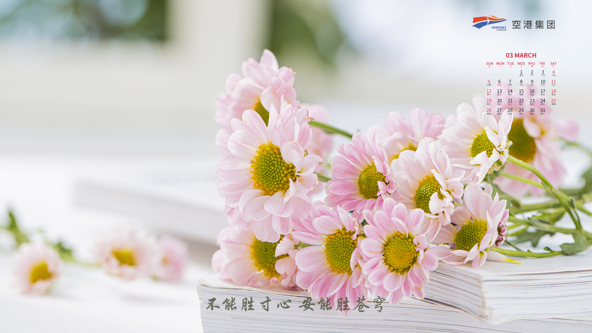 中国少妇A片BBBBBB洗澡